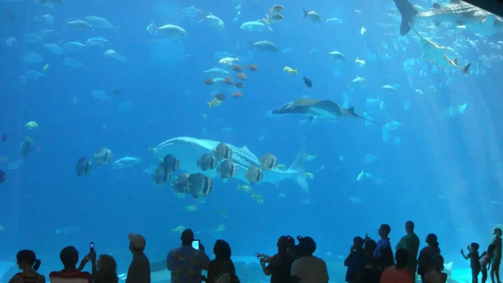 guaruja crianças