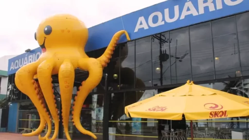Sereia no guarujá
