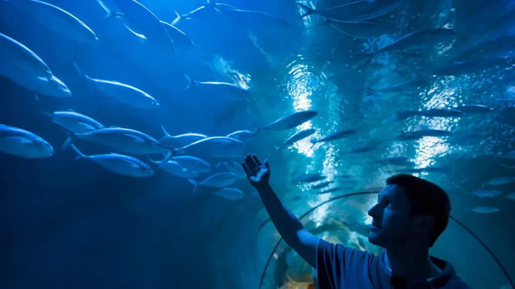 Sereia no guarujá