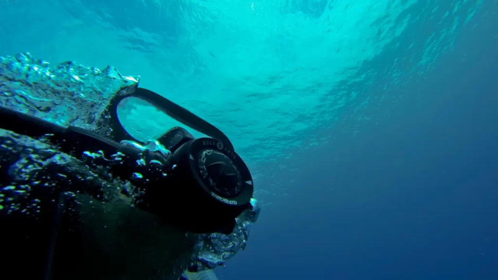 Sereia no guarujá